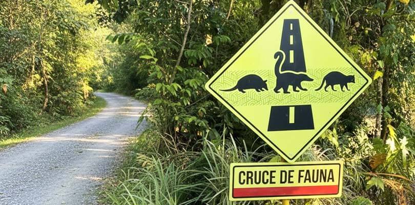 Safety Tips for Driving in Costa Rica