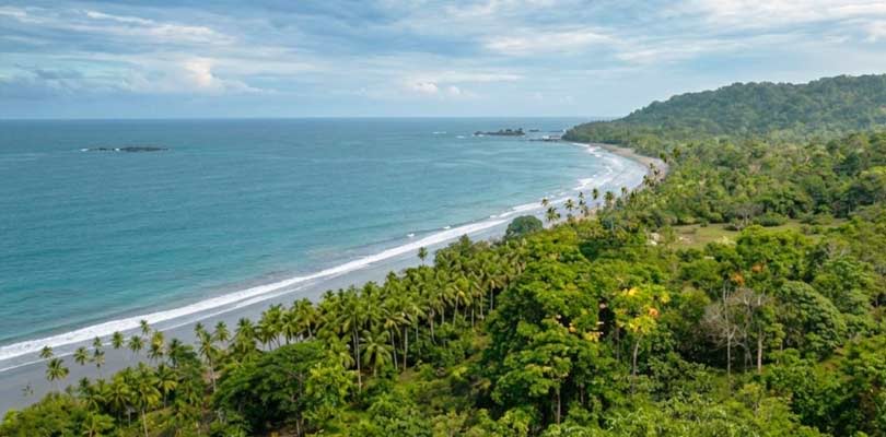 Aerial view of a tropical coastline