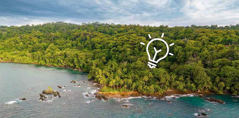 Forested shore with idea icon